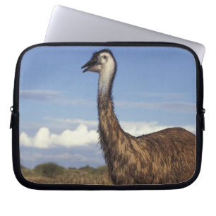 Australien, Westaustralien. Emu (Dromaius Laptopschutzhülle