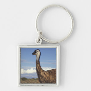 Australien, Westaustralien. Emu (Dromaius Schlüsselanhänger