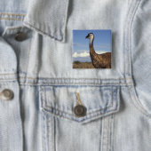 Australien, Western Australien. Emu (Dromaius Button (Beispiel)