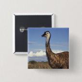 Australien, Western Australien. Emu (Dromaius Button (Vorne & Hinten)