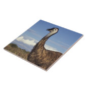 Australien, Western Australien. Emu (Dromaius Fliese (Seite)
