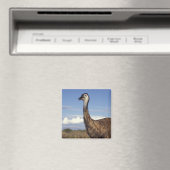 Australien, Western Australien. Emu (Dromaius Magnet (In Situ (Geschirrspüler))