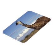 Australien, Western Australien. Emu (Dromaius Magnet (Linke Seite)