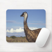 Australien, Western Australien. Emu (Dromaius Mousepad (Mit Mouse)