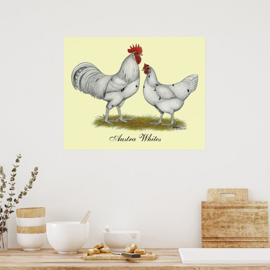 Australien White Chickens Poster (Küche)
