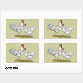 Australien White Chickens Rechteckiger Aufkleber (Blatt)