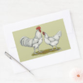 Australien White Chickens Rechteckiger Aufkleber (Umschlag)