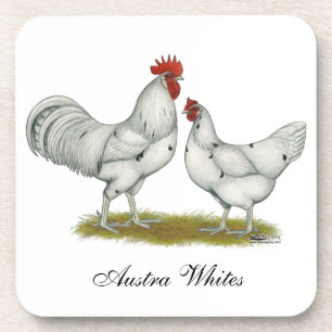Australien White Chickens Untersetzer