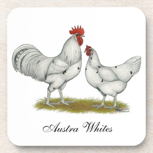 Australien White Chickens Untersetzer (Vorderseite)
