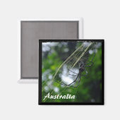 Australien, Wildnis, Spider (Magnet) Magnet (Vorderseite/Rückseite)
