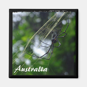 Australien, Wildnis, Spider (Magnet) Magnet