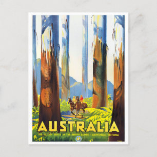 Australiens höchste Bäume Vintage-Reise Postkarte
