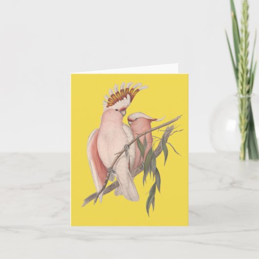 Australier Galah Karte John Gould (Vorderseite)