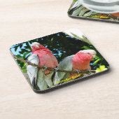 Australier Galah - rosa Cockatoo Getränkeuntersetzer (Linke Seite)