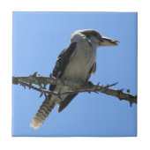 Australier Kookaburra Fliese (Vorderseite)