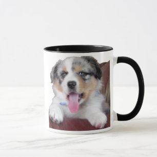 Australier Shephard Welpe Tasse