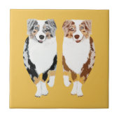 Australier Shepherds 4" Keramik-Fliese Fliese (Vorderseite)