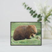 Australin Postkarte (Stehend Vorderseite)