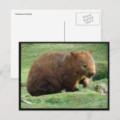 Australin Postkarte (Vorne/Hinten)