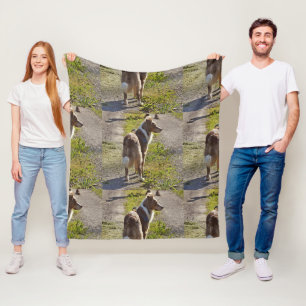 Australisch-Hirtenroter Merle voll mit Schwanz Fleecedecke