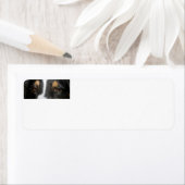 australisch-schwarz-tri-australisch (Insitu)