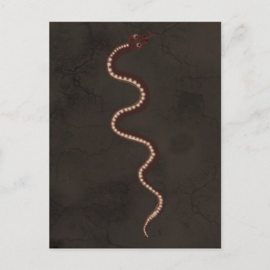Australische Aborigine-Wüstenschlange Postkarte (Vorderseite)