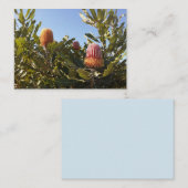 Australische Banskia-Blüten Visitenkarte (Vorne/Hinten)