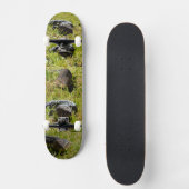 Australische Blauzungenechse, Skateboard-Set Skateboard (Vorderseite)