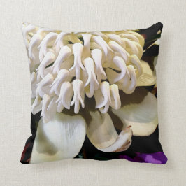 Australische Blume Nr. 4. Kissen