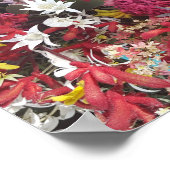 Australische Blume Poster (Ecke)