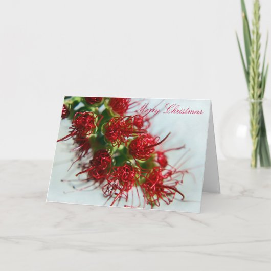 Australische Bottlebrush Weihnachtskarte Feiertagskarte (Vorderseite)