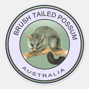 Australische Bürste angebundenes Opossum Runder Aufkleber