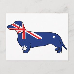 Australische Dackel Postkarte