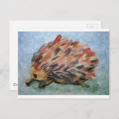 australische Echindie Postkarte (Vorne/Hinten)