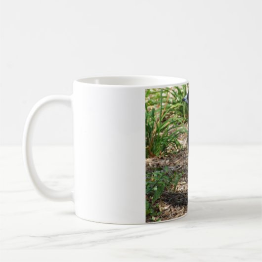 Australische Elster-Tasse Kaffeetasse (Links)
