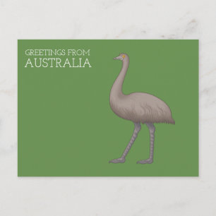 Australische Emu Postkarten