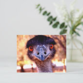 Australische Emu Wildlife Postcard Postkarte (Stehend Vorderseite)
