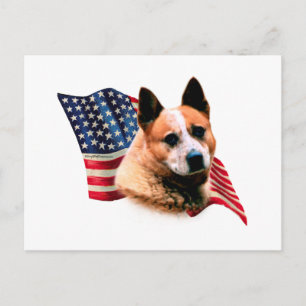 Australische Flagge für Rinderhunde Postkarte