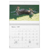 Australische gebürtige Tiere Kalender (Feb 2027)