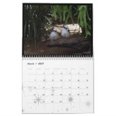 Australische gebürtige Tiere Kalender (Mär 2027)