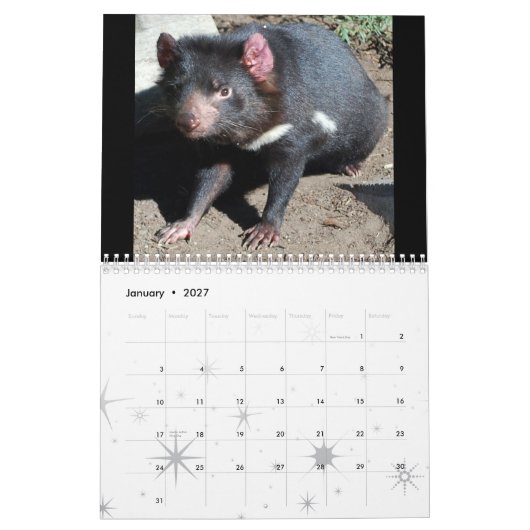 Australische gebürtige Tiere Kalender (Jan 2027)