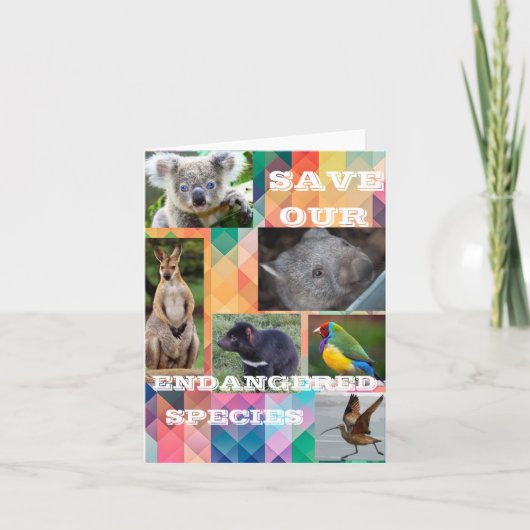 Australische gefährdete Arten Dankeskarte (Vorderseite)