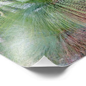 Australische Grasbaume Fotodruck (Ecke)