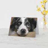 Australische Hirtenkarte Karte (Gelbe Blume)