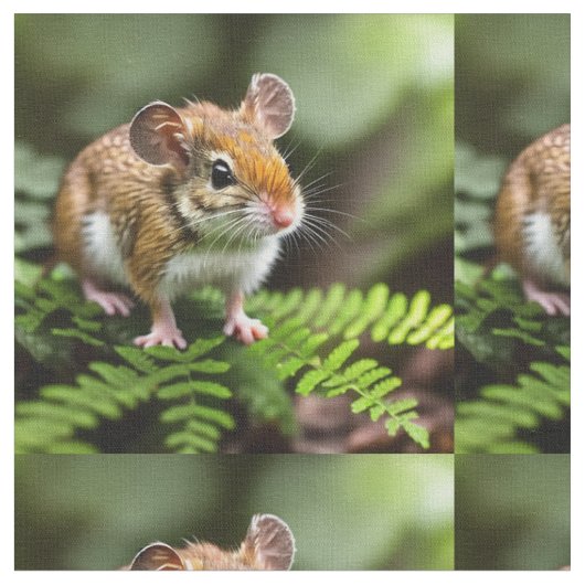 Australische Hüpfmaus, Stoff (Nahaufnahme)