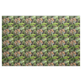 Australische Hüpfmaus, Stoff (Fat Quarter (45,7 x 55,9 cm))