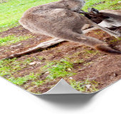 Australische Kangaroos und Emu, Wall Poster (Ecke)