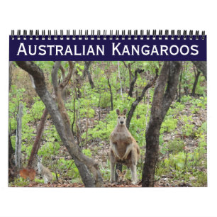 australische Kängurus 2027 Kalender