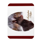 Australische Kelpe Art Magnet (Vertikal)