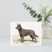 Australische Kelpie 9P21D-247 Postkarte (Stehend Vorderseite)